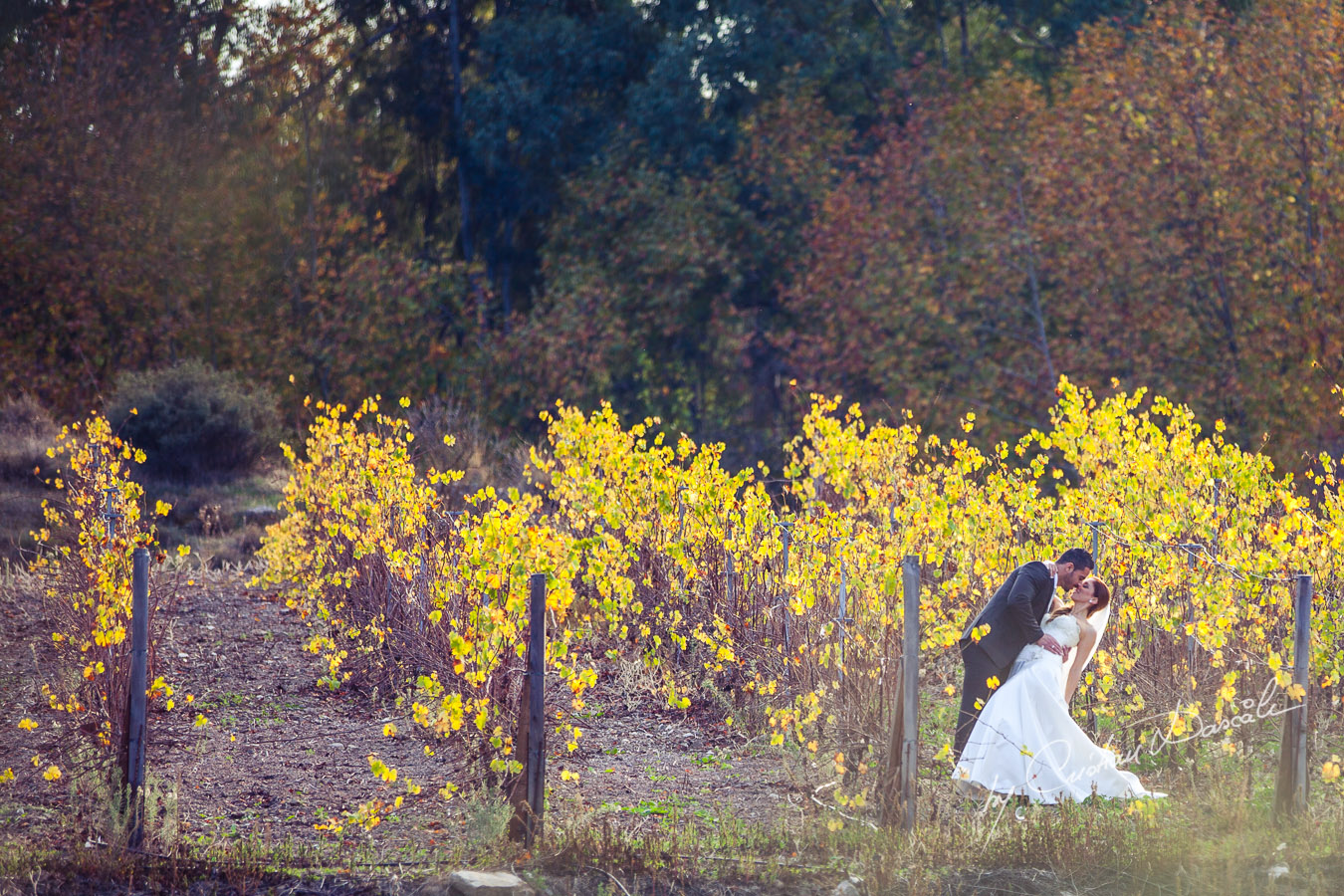 An Enchanted Wedding Photo Session - Marina & Xristos. Cyprus Photographer: Cristian Dascalu