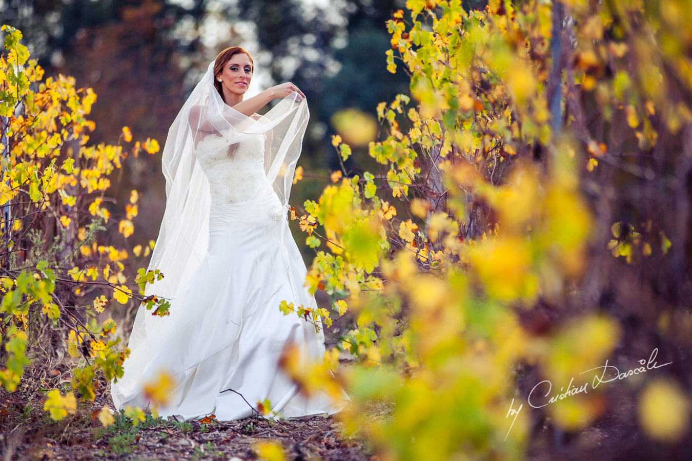 An Enchanted Wedding Photo Session - Marina & Xristos. Cyprus Photographer: Cristian Dascalu