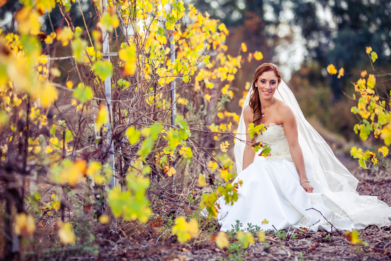 An Enchanted Wedding Photo Session - Marina & Xristos. Cyprus Photographer: Cristian Dascalu