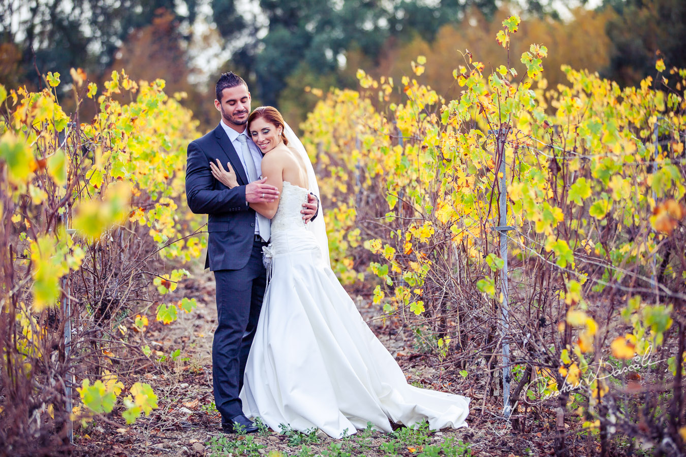 An Enchanted Wedding Photo Session - Marina & Xristos. Cyprus Photographer: Cristian Dascalu