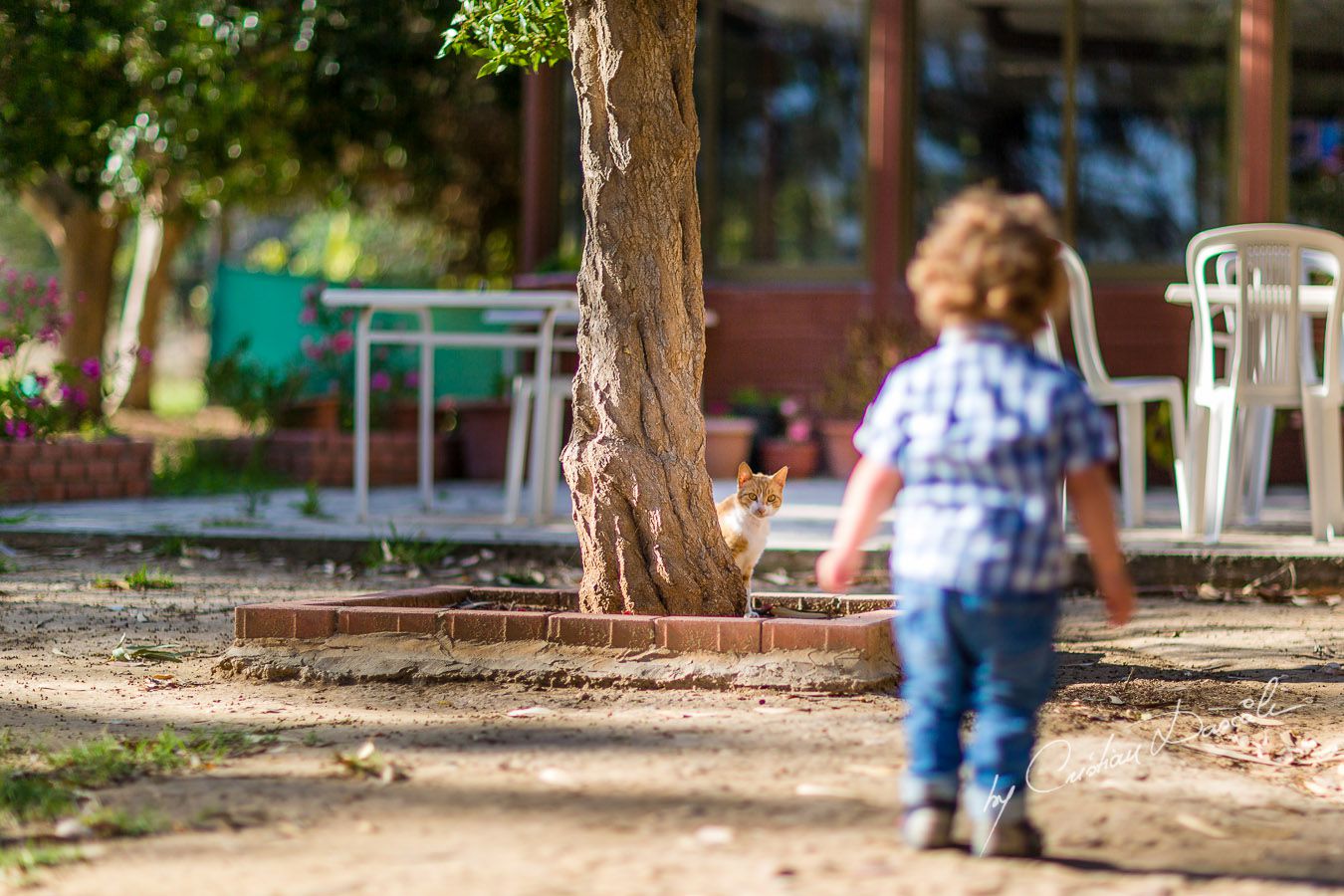 Harry spotted a cat near Curium Beach, Cyprus. Photographer: Cristian Dascalu