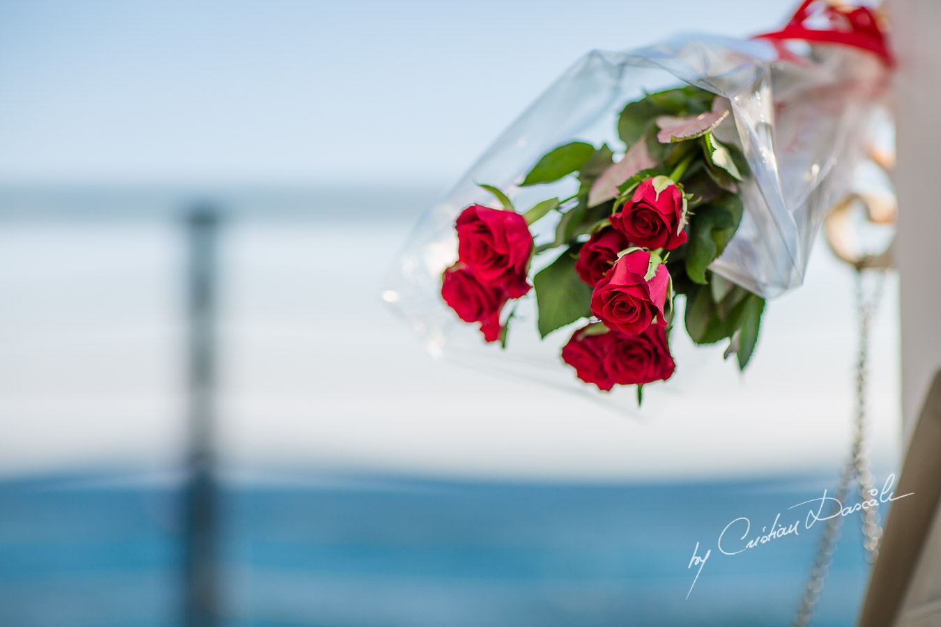 Beach Proposal Photo Session - 17