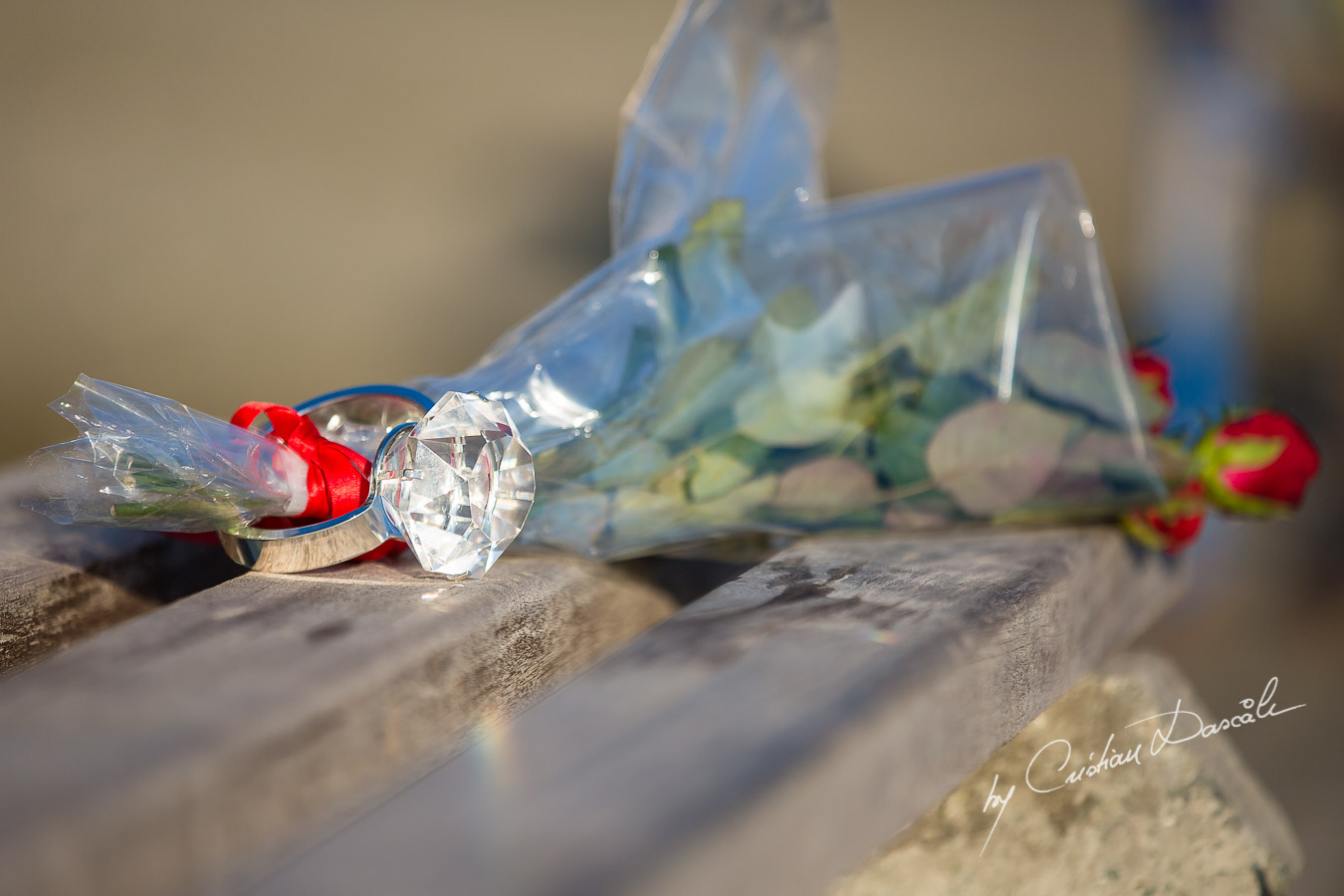 Beach Proposal Photo Session - 22