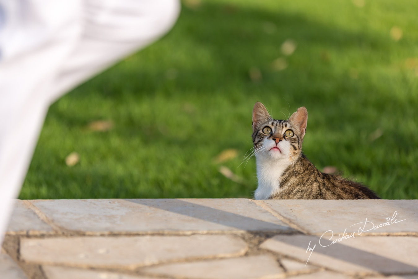 A Family Photo Shoot in Protaras, Cyprus - 19