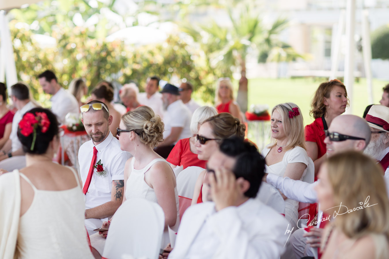 Beautiful Wedding at Grecian Park - 0023