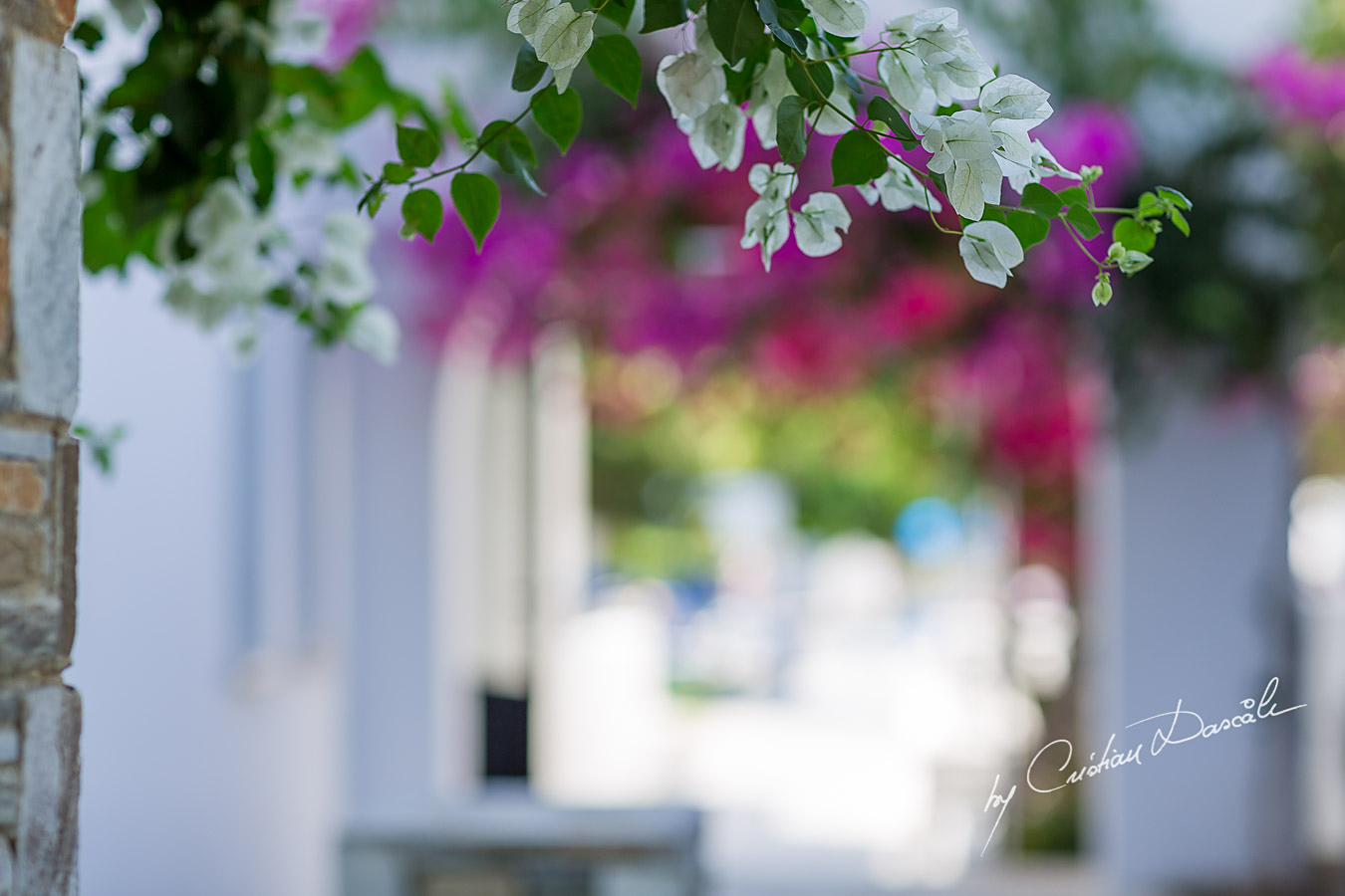 Wedding Photography at Aliathon Beach Holiday - 19