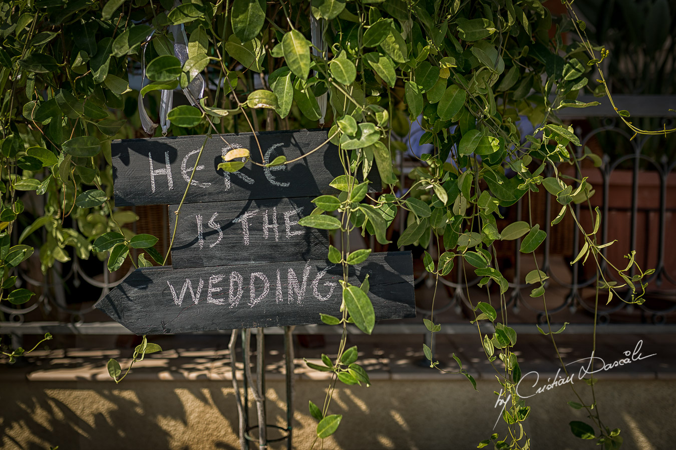 Distinctive Wedding Photography in Cyprus - 13