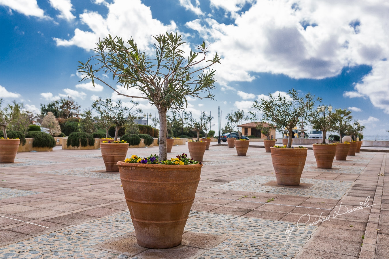 Wedding at The Elysium Hotel in Cyprus - 02