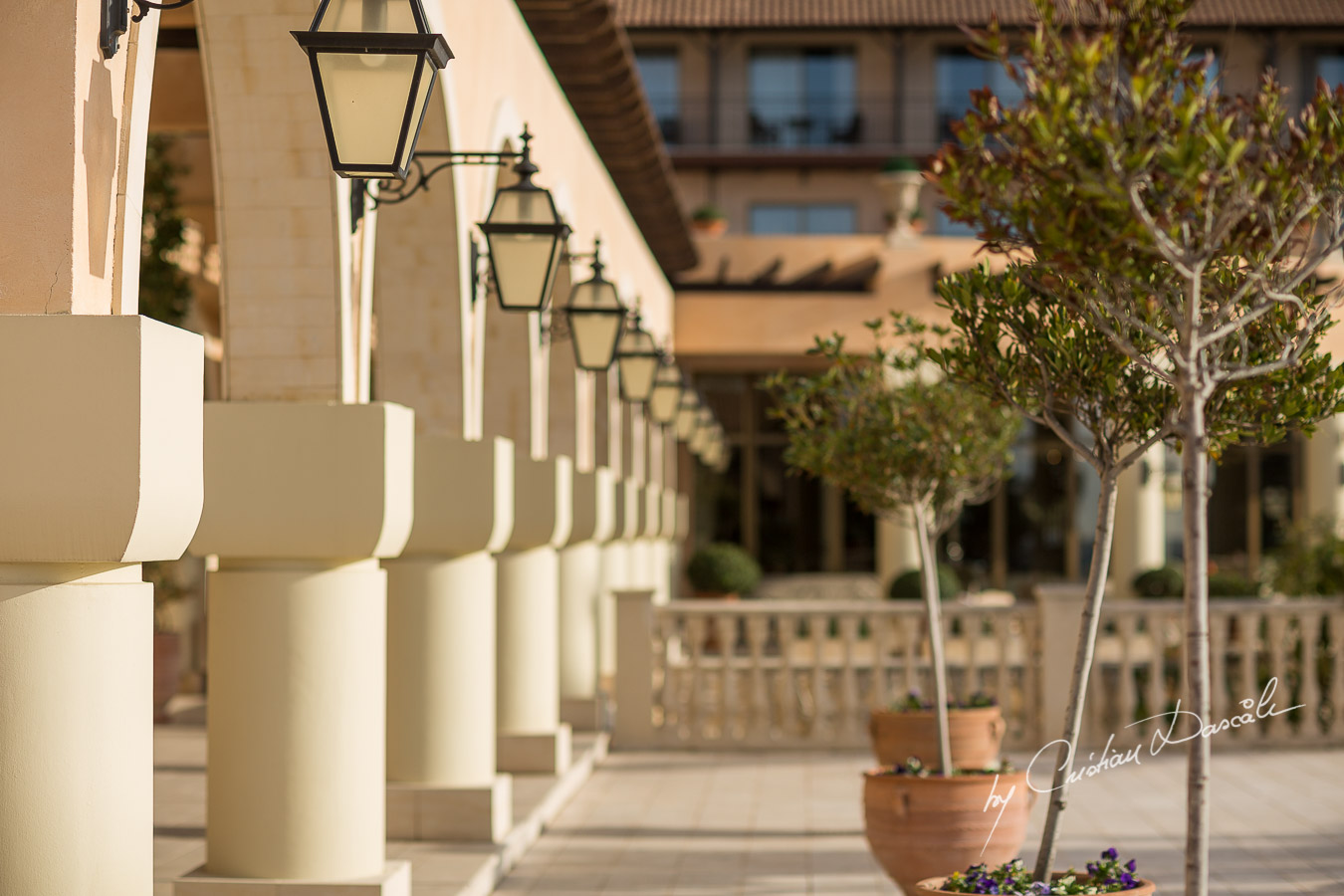 Wedding at The Elysium Hotel in Cyprus - 17