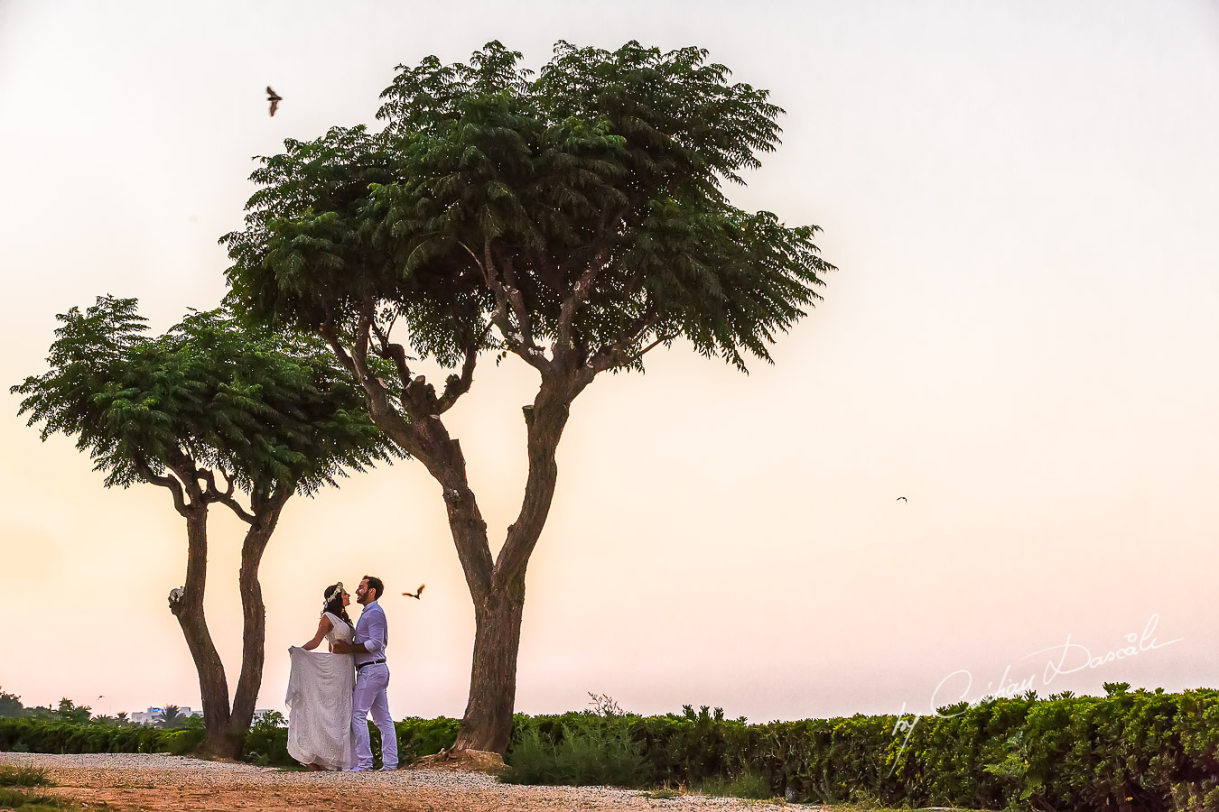 Wedding ceremony at Pernera Beach Hotel in Protaras, Cyprus.