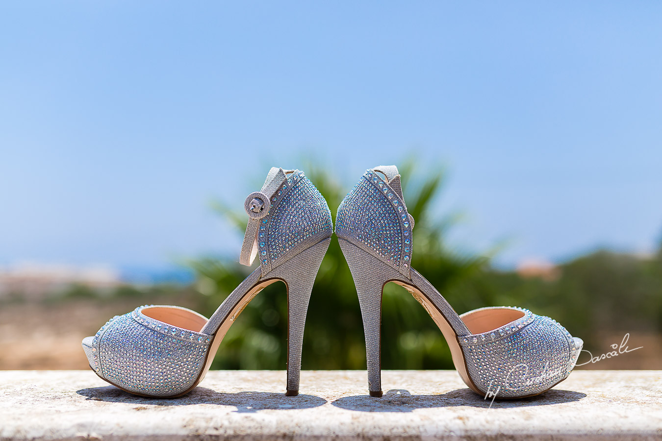 Wedding detailsEverlasting Wedding Photography in Ayia Napa. Photography by Cristian DascaluEverlasting Wedding Photography in Ayia Napa. Photography by Cristian Dascalu
