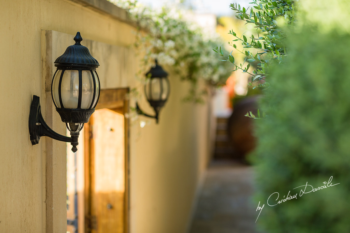 Beautiful Details captured by Cristian Dascalu at a wedding at The Aphrodite Hills Resort in Paphos, Cyprus.