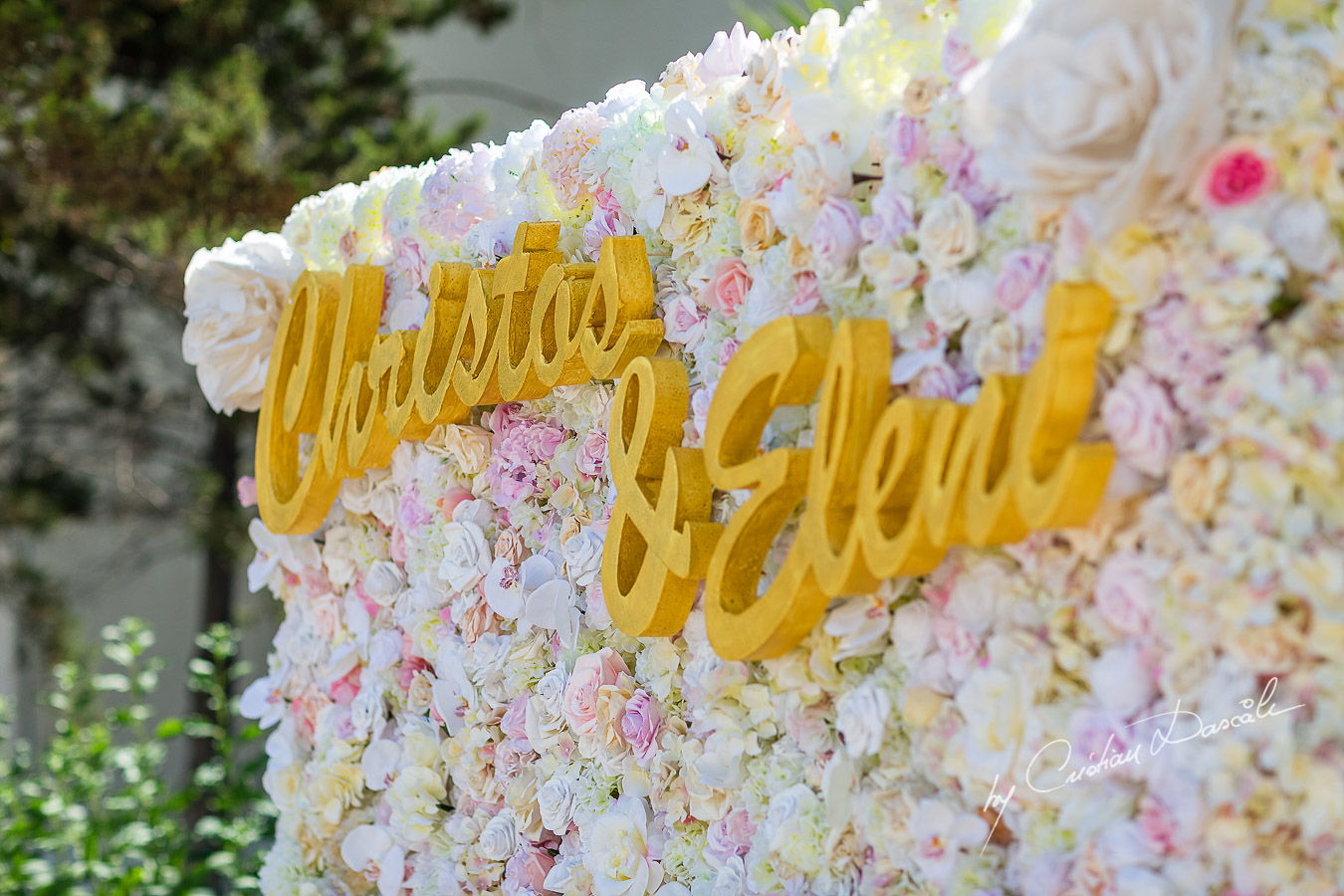 Paper flower wedding wall photographed at a wedding in Nicosia by Cyprus Wedding Photographer Cristian Dascalu