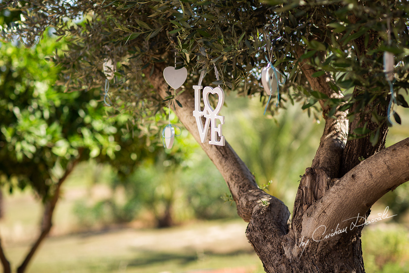 Beautiful wedding decorations captured at a wedding at Minthis Hills in Cyprus, by Cristian Dascalu.