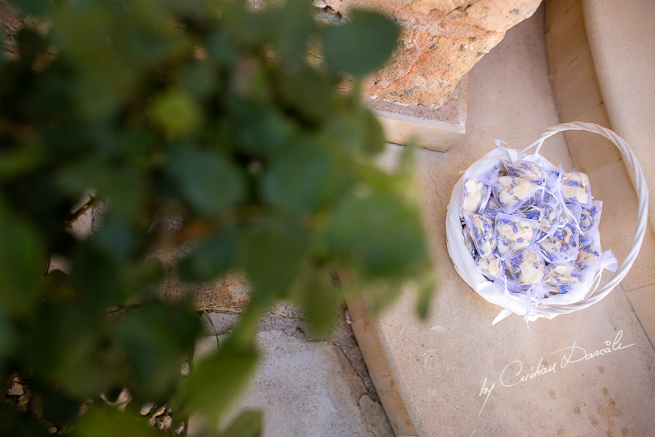 Wedding confetti and flower petals captured at a wedding at Minthis Hills in Cyprus, by Cristian Dascalu.