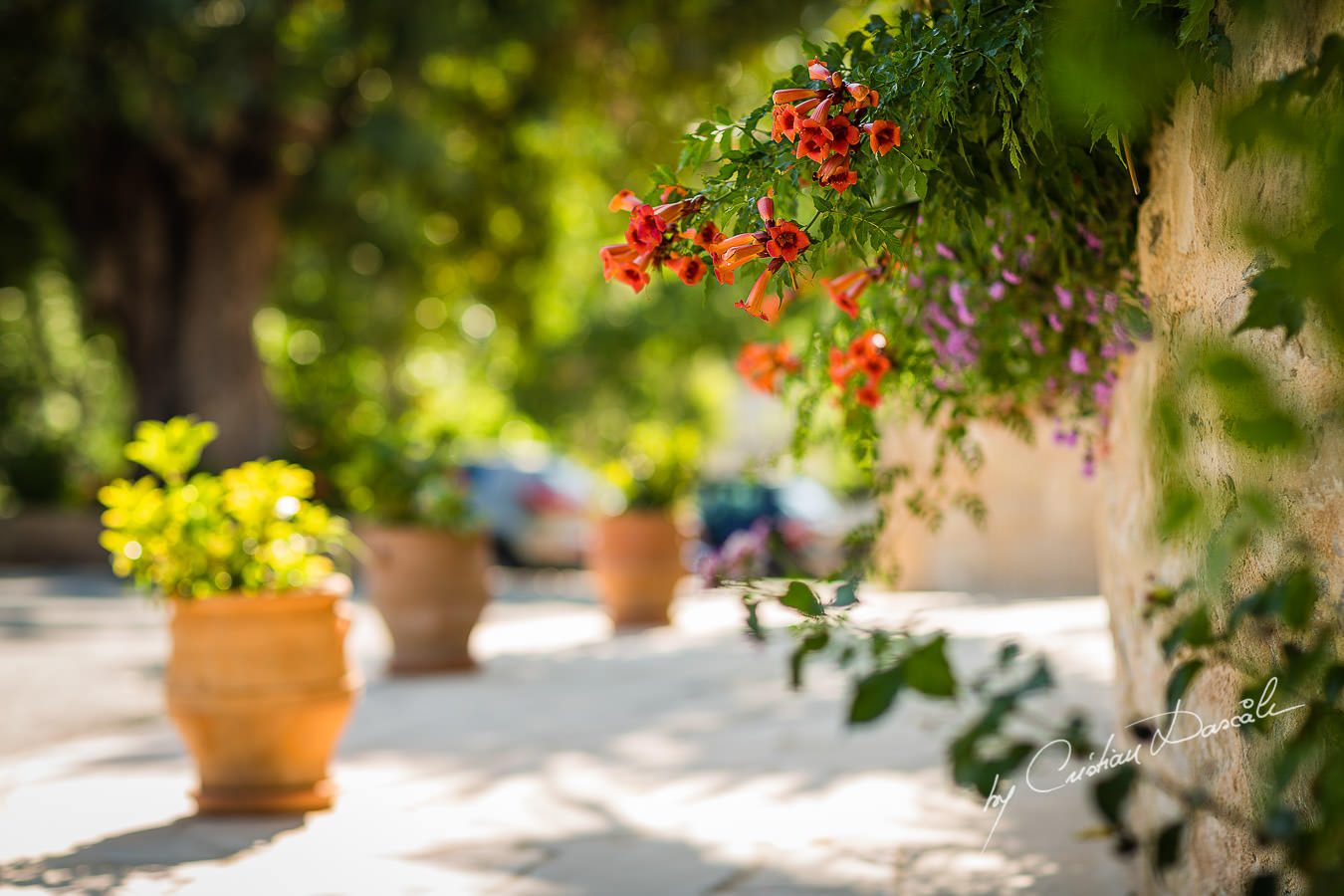 A beautiful wedding day at the Vasilias Nikoklis Inn in Paphos, captured by Cristian Dascalu.