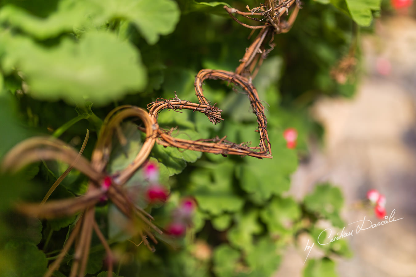 A beautiful wedding day at the Vasilias Nikoklis Inn in Paphos, captured by Cristian Dascalu. Wedding Details.