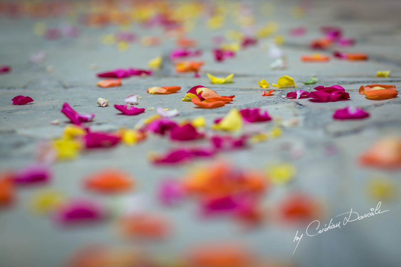 A beautiful wedding day at the Vasilias Nikoklis Inn in Paphos, captured by Cristian Dascalu. Rose petal thrown for the bride's arrival.