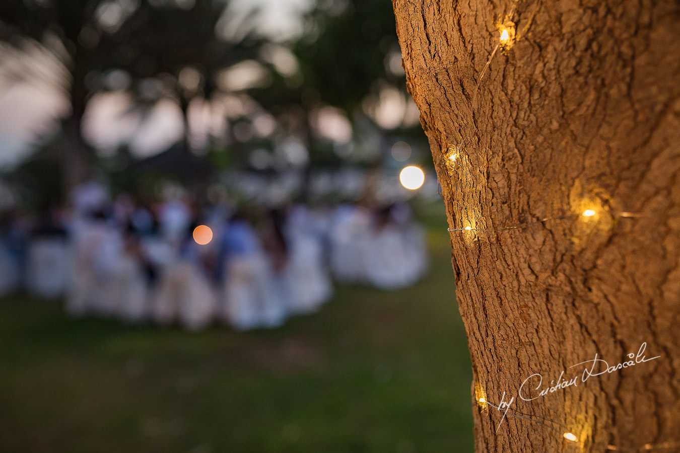 Moments photographed by Cristian Dascalu at Athena Beach Hotel in Paphos, Cyprus, during a symbolic wedding.