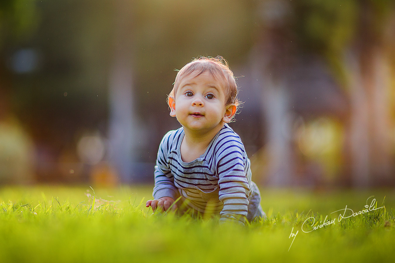 Little boy in the grass, moments captured by Cristian Dascalu during a beautiful Limassol family photography photo session.