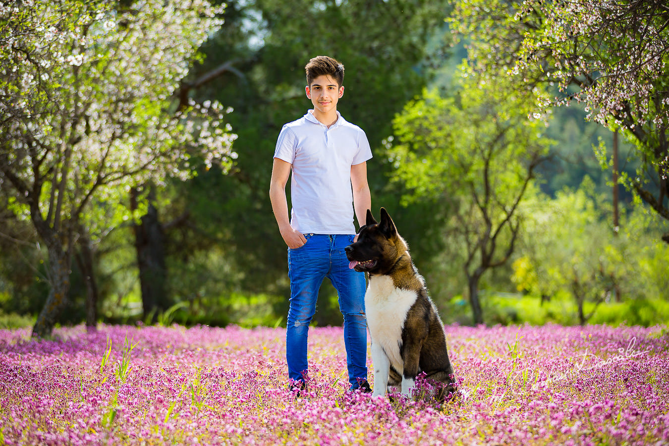 Alex and his Akita dog photographed in Klirou village, Nicosia district, during an amazing family photography in Nicosia by Cyprus Photographer Cristian Dascalu.