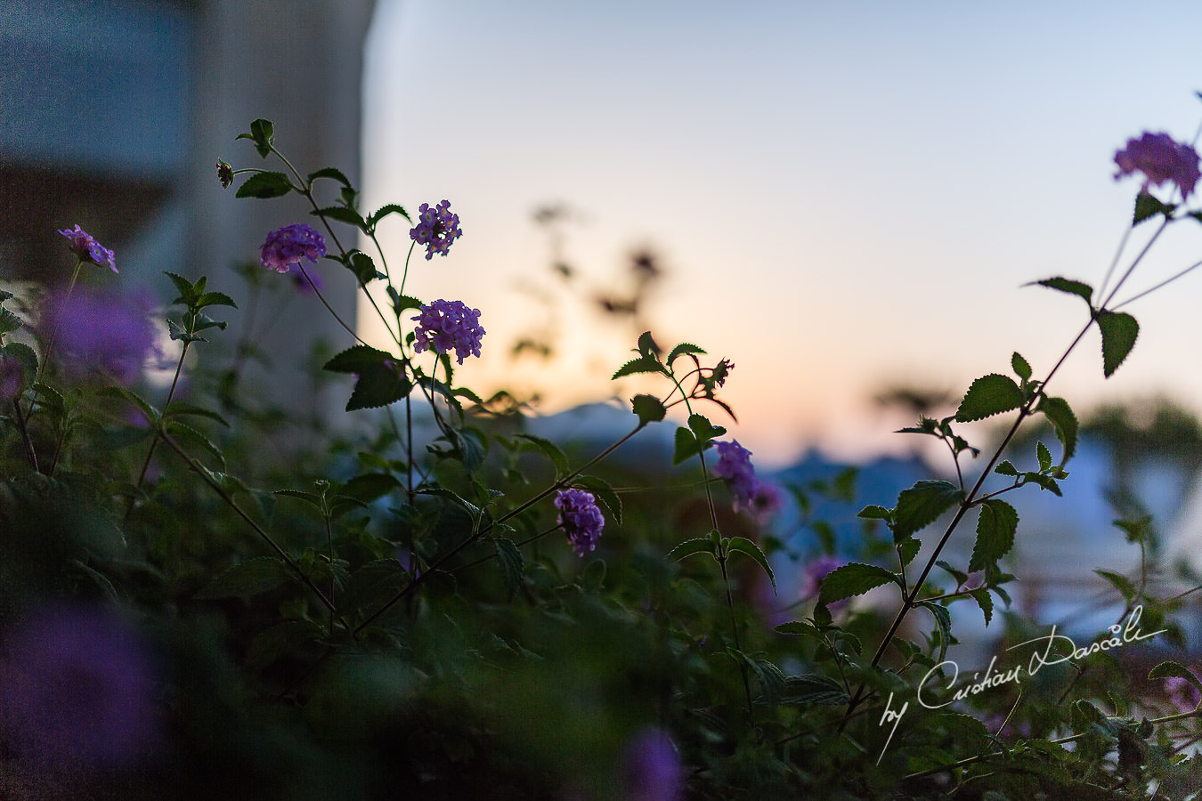 Breathtaking sunset view at the beautiful Anassa Hotel photographed by Cyprus Photographer Cristian Dascalu.