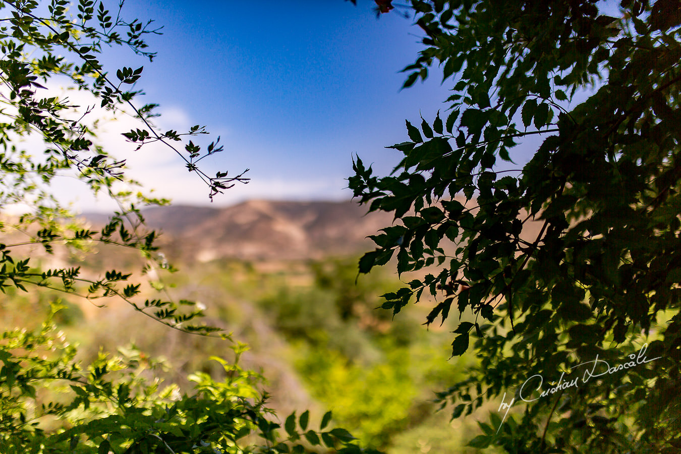 Wedding day atmosphere at a Vasilias Nikoklis Inn Wedding in Paphos. Cyprus Wedding Photography by Cristian Dascalu.