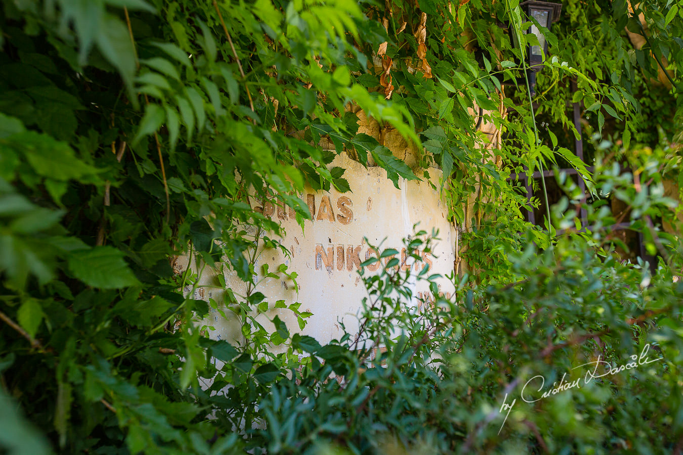 Wedding day atmosphere at a Vasilias Nikoklis Inn Wedding in Paphos. Cyprus Wedding Photography by Cristian Dascalu.