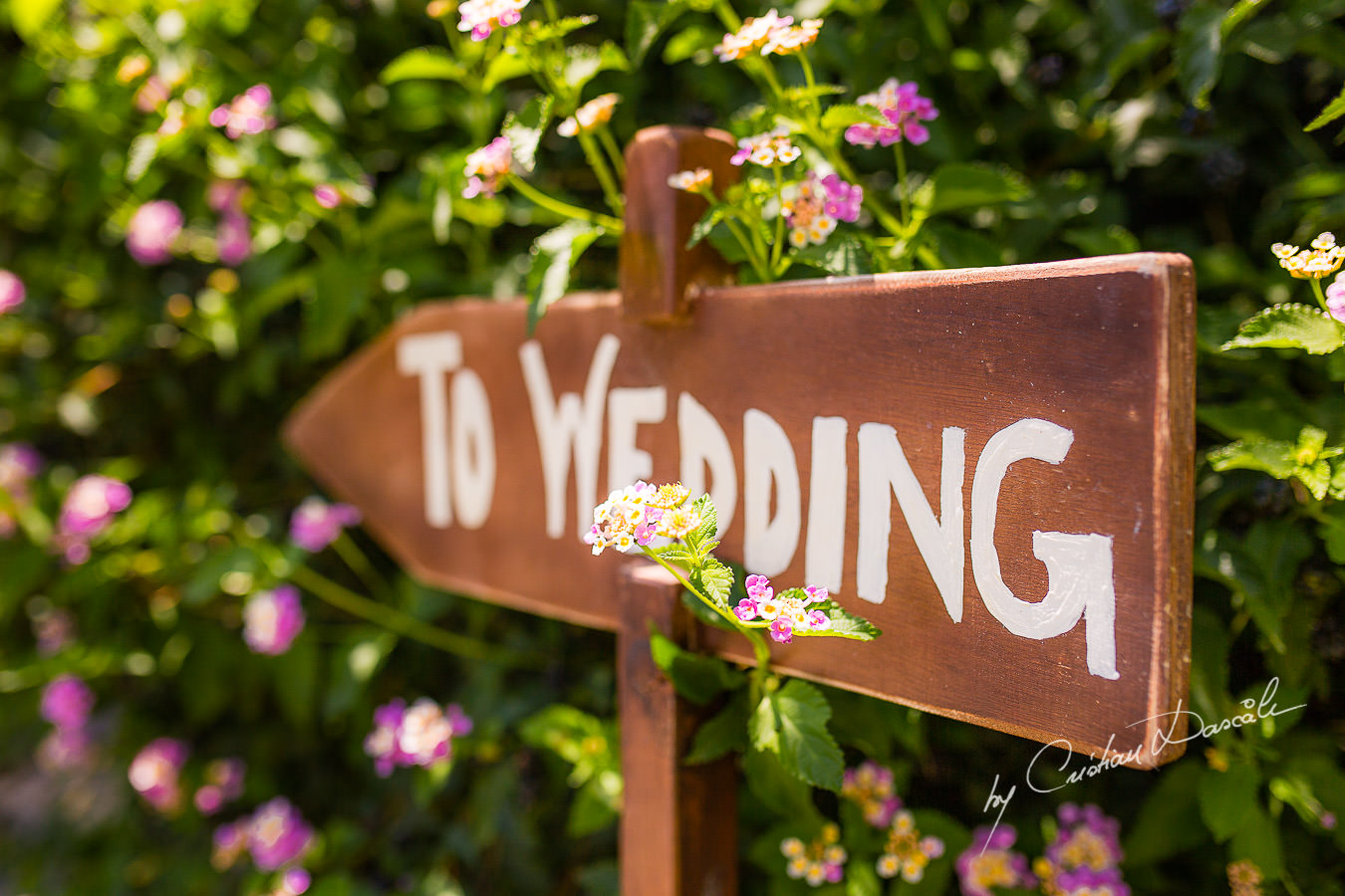 Wedding moments captured at a Vasilias Nikoklis Inn Wedding in Paphos. Cyprus Wedding Photography by Cristian Dascalu.