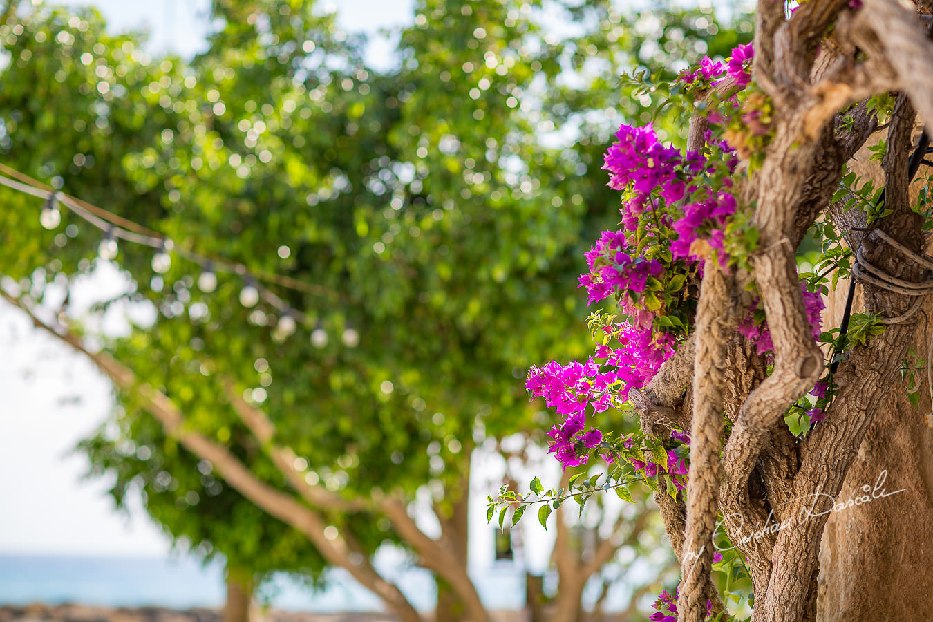 Emotional Wedding at Coral Beach Hotel & Resort. Photography by Cyprus Photographer Cristian Dascalu