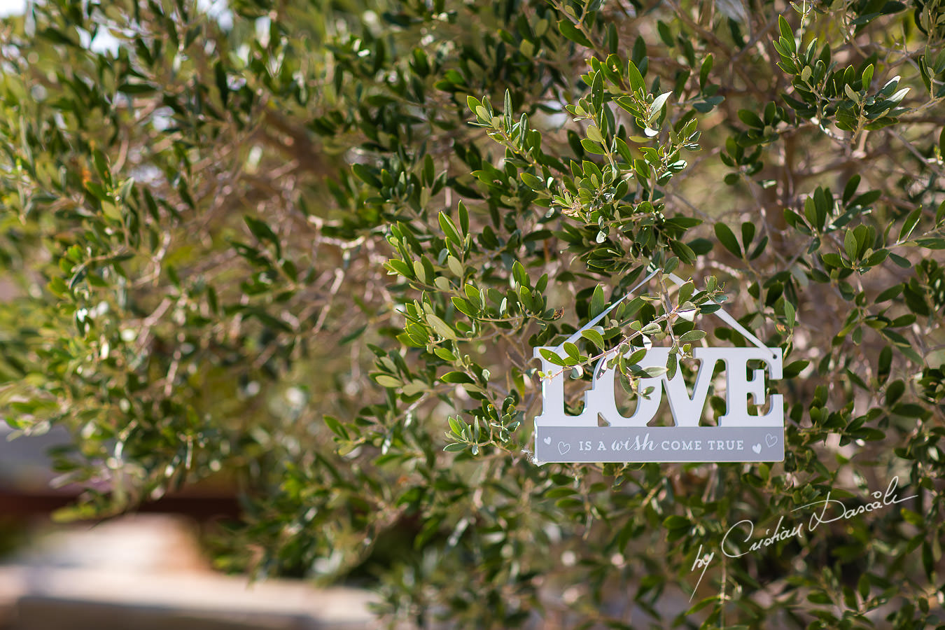 Stylish Wedding Photography at Elea Estate. Moments captured by Cyprus Wedding Photographer Cristian Dascalu